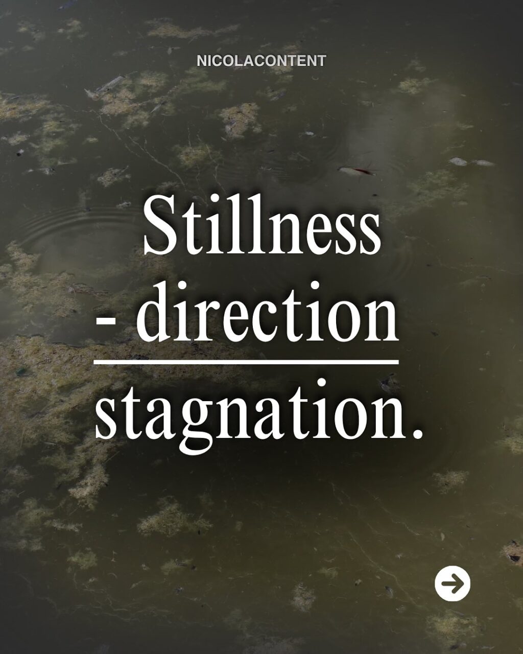 Instagram post from nicolacontent. This post is in position 4.